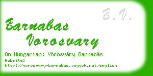 barnabas vorosvary business card
